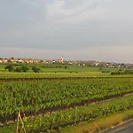 Sklep U Krizku *
