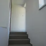 Daire Sklep U Krizku